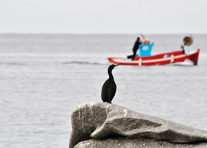Casa Anna Διαμέρισμα Mykonos Town