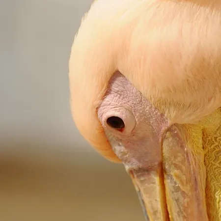 Casa Anna 아파트 *