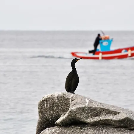 Casa Anna 公寓 Mykonos Town