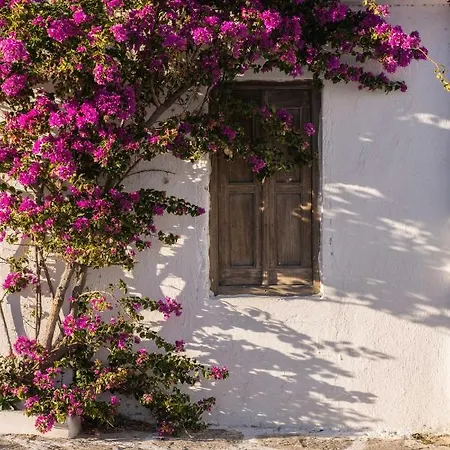 Casa Anna Mykonos Town